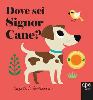 Dove sei Signor Cane?