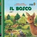 Il bosco