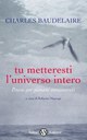 Tu metteresti l'universo intero